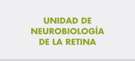 content_neurobiologia_de_la_retina
